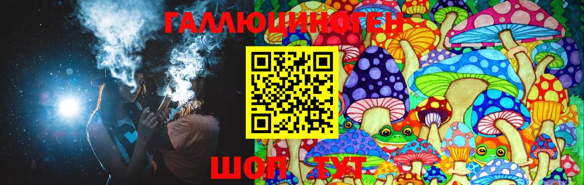 Псилоцибиновые грибы GOLDEN TEACHER  Галлюциногенные грибы Magic Shrooms  Королёв  закладки  Вход с VPN 